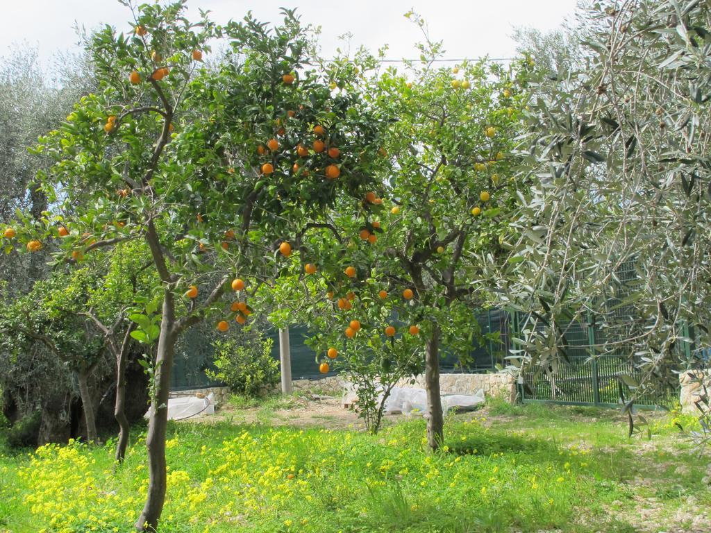 Villa Tenuta Santa Maria Mattinata Zimmer foto